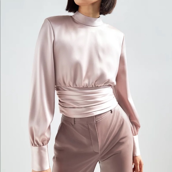 Aritzia Tops - Babaton Rosalia Blouse